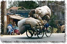 An overloaded Cyclo